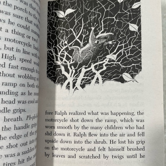 Runaway Ralph Childrens Book - Picture 3 of 4